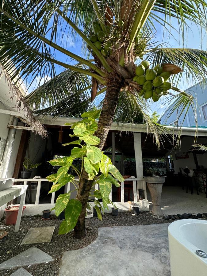 Dhiffushi Island Villa المظهر الخارجي الصورة